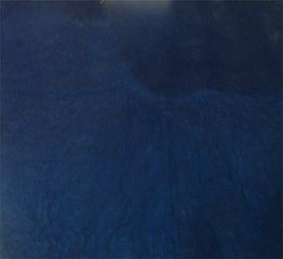 OCEAN